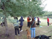 /album/fotogaleria-inicio4/a555abcdef-009-jpg4/
